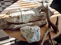 Makety větví a kamene