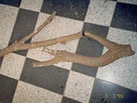 Makety větví a kamene