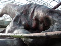 Montáž prvního největšího stromu