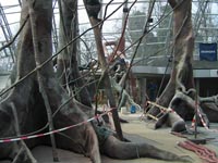 Holé stromy před dokončením