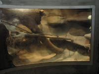 Strom v akváriu bez vody 