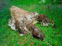 Momumentální plastika - Zásnubní stopa